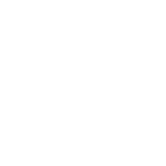 Serviço Personalizado